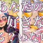 今あなた様のことが好きな人いる？いない？🫢❤️‼️今はいませんという選択肢あります⚠️イエス、ノーはっきり出させていただきました！恋愛タロット占い🔮