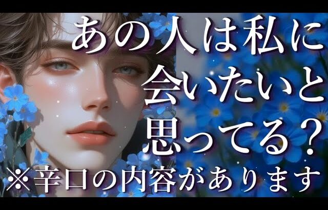 ⚠️辛口あり⚠️あの人は私に会いたいと思ってる？占い💖恋愛・片思い・復縁・複雑恋愛・好きな人・疎遠・タロット・オラクルカード