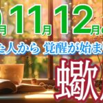 【蠍座10月~12月🍁】信じた選択が“最強の現実”を引き寄せます🌈［運勢リーディング＆タロット＆オラクル］