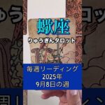 蠍座の9月8日の週。タロット占い。#りゅうぎんタロット #蠍座