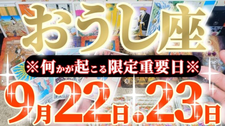 牡牛座さんへ9月後半この日が凄い👑【リンクエネルギーが超高😲様々にシンクロ起こります🎀】✡️キャラ別鑑定付き✡️　