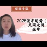 2026流年运势（四）：天同太阴坐命｜紫微斗数｜流年运势｜丙午年｜马年