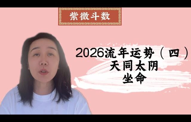 2026流年运势（四）：天同太阴坐命｜紫微斗数｜流年运势｜丙午年｜马年