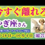 【山羊座】2025年9月28日から10月4日のやぎ座の総合運。#山羊座 #やぎ座