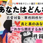 【2025年♡本格鑑定】あなたはどんな人？🍎恋愛対象、異性同性から見た印象も❤️【超自己分析】仕事・恋愛・人生