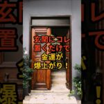 玄関に置くだけで金運が爆上がりする観葉植物3選  #shorts #スピリチュアル #風水 #金運