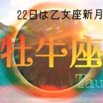 【9月後半✴︎牡牛座】過去を整理してネクストステップ！海外や遠方にご縁あり◎心いっぱいサプライズのある人間関係🔥【2025】 1