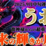 魚座さんへ9月中旬🐉龍神様の御告げ【アナタの本来の輝きでマイナスさえも糧になる👑✨】✡️キャラ別鑑定付き✡️　