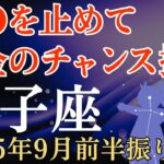 【双子座】2025年9月前半振り返り「ふたご座」の運勢～〇〇を止めて、お金のチャンス掴む～