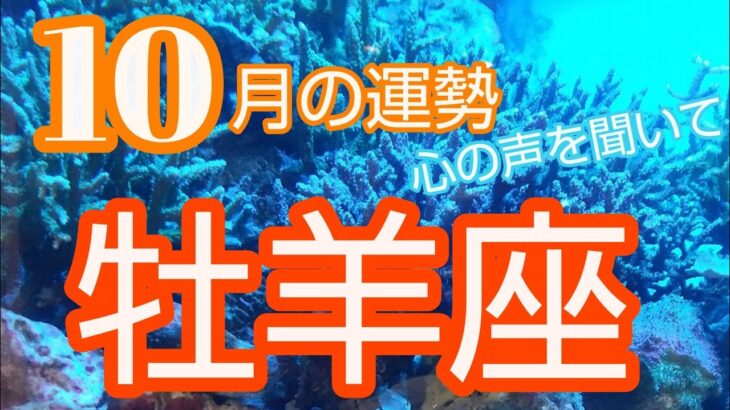 【牡羊座♈️10月運勢】🍁手放す事で倍戻る‼️居場所の確立✨#占い#牡羊座 #おひつじ座 #オラクルカード #人生相談 #開運 #スピリチュアル #牡羊座10月#おひつじ座10月#女神#星座占い#星