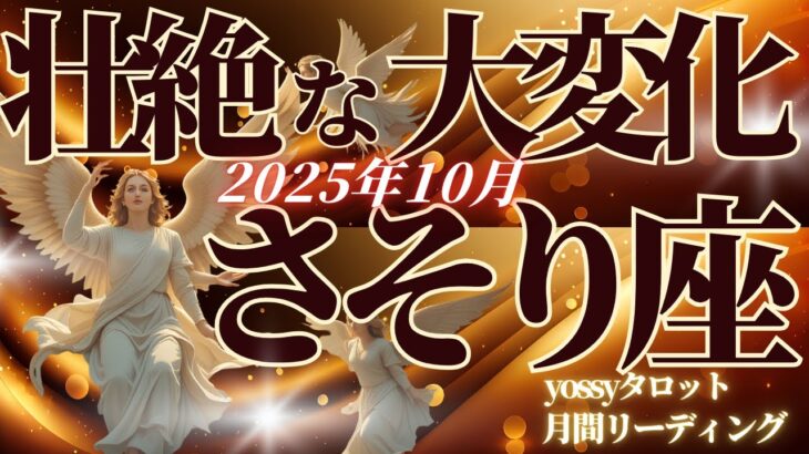 10月の運勢🦋さそり座　やっと…涙の集大成😭✨これまでよく頑張った！リセットから最高の再スタート(お金・仕事・人間関係)