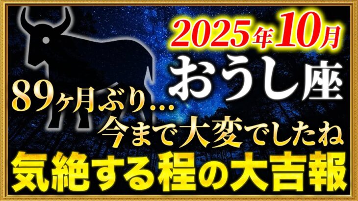 【牡牛座】89ヶ月の混乱期…よく耐え抜きましたね【12星座占い】