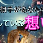 【選択肢〇さんで号泣😭】お相手があなたに隠している想い💓恋愛タロット占い