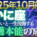 【蟹座♋️金運】蟹座に月の導きで安心資産！💫10月前期で守護本能が富を築く【12星座占い】