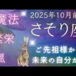 【さそり座】５枚引き⭐️あなたを助けたいスピリットガイドからメッセージ！ オラクルカードリーディング 蠍座
