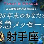 【射手座♐️】2025年末のあなたから緊急メッセージ✨タロット＆オラクル／Tarot&Oracle card reading ／Sagittarius