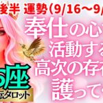 【♓魚座さん💖9月後半運勢タロット】〈あなたのやりたい事がみつかり、覚悟も決まる‼どんな自分にもなれると信じて😊高次の存在も応援してる🙏〉 人生幸転タロットリーディング 占い うお座 太陽星座・月星座