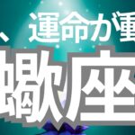蠍座さんへ、この秋起きる嬉しいこと✨これはびっくりです。現実が変わる瞬間が出てしまいました。。。