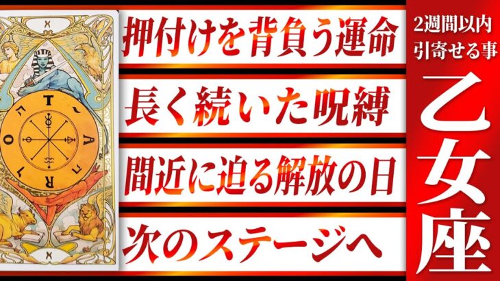 【乙女座】おとめ座の皆様、これまで本当に大変でしたね。新たな運命が始まる時代へ。 Akari先生