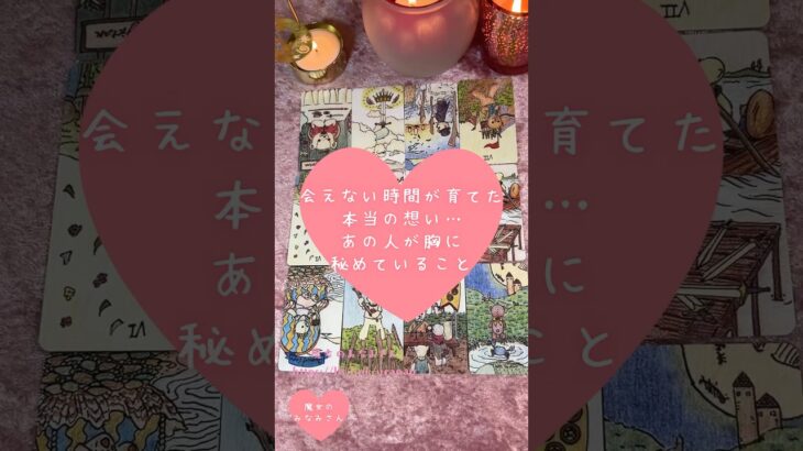 会えない時間が育てた本当の想い…あの人が胸に秘めていること🎀🔮 #恋愛占い#タロット#個人鑑定※無断転載、無断転用禁止