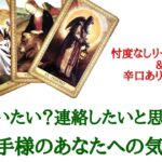 🌹恋愛タロット占い🌹辛口あります‼️あの人は、私に会いたい？連絡したいと思ってる？お相手様の現状 あなたへの気持ち 会いたい？連絡したい？ いつ頃？ アドバイスetc..