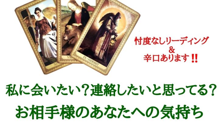 🌹恋愛タロット占い🌹辛口あります‼️あの人は、私に会いたい？連絡したいと思ってる？お相手様の現状 あなたへの気持ち 会いたい？連絡したい？ いつ頃？ アドバイスetc..