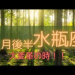 【９月後半水瓶座♒️】大変革の時✨️大きなステージアップを迎える💖