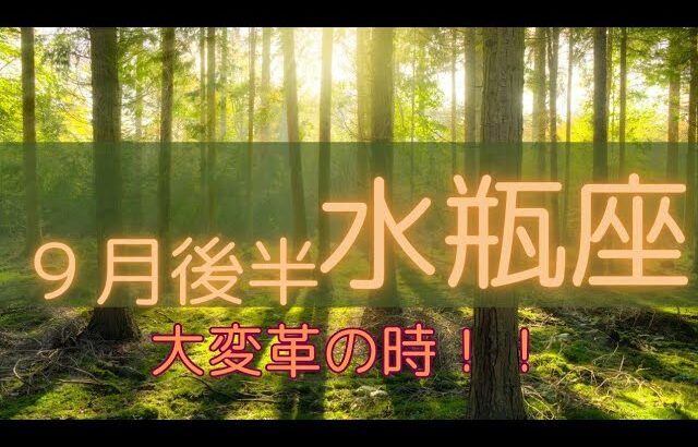 【９月後半水瓶座♒️】大変革の時✨️大きなステージアップを迎える💖