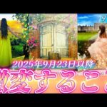 【本当に起きます】⚠️本気で目醒める✨あなたは次のステージへ進みます❗️天職・恋愛・成功　あなたに起きるのはどれ？　個人鑑定級タロット占い