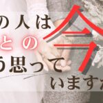 あの人は私との「今」をどう思ってる？今のあの人の気持ち✉️ 【 恋愛 気持ち タロット オラクル カード 占い 】