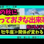 【牡牛座】この秋に届くとっておきな出来事🥹✨️🌈▼タロットカード&オラクルカード&ルノルマンカード占い