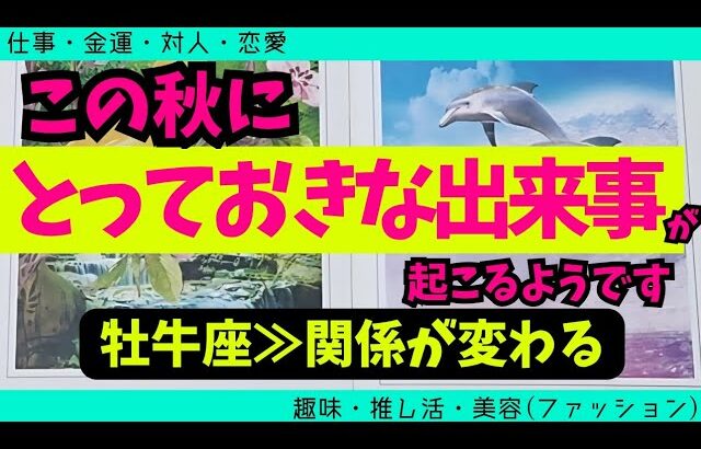 【牡牛座】この秋に届くとっておきな出来事🥹✨️🌈▼タロットカード&オラクルカード&ルノルマンカード占い
