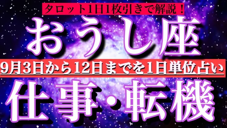 おうし座♉︎9月3日から連休前12日まで【仕事・チャンス】1日単位でタロットリーディング💫成功？転機は？