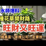 《風水師爆料》8種花草開財路！放對一盆＝招財納福，家裡公司都必備！#Shopee必買