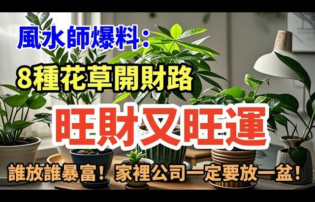 《風水師爆料》8種花草開財路！放對一盆＝招財納福，家裡公司都必備！#Shopee必買