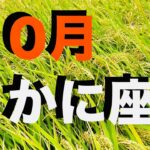 ♋️蟹座2025年10月の運勢 レベル高すぎ！レアな展開の連続で 最後まで笑いが止まらないリーディング ごめんなさい！【12星座タロットリーディング スピリチュアルライフハック】