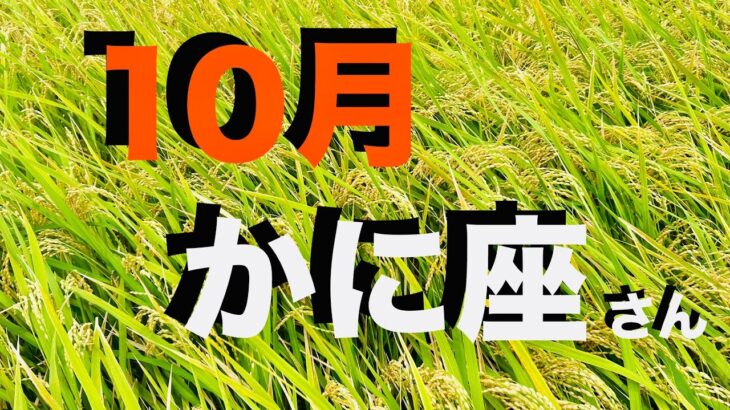 ♋️蟹座2025年10月の運勢 レベル高すぎ！レアな展開の連続で 最後まで笑いが止まらないリーディング ごめんなさい！【12星座タロットリーディング スピリチュアルライフハック】