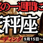 【天秤座】♎️2025年9月15日の週♎️タロット占い。充実の一週間になる。次の飛躍に向けて、じっくり準備する。てんびん座、運勢、仕事運、家庭運、恋愛、人間関係