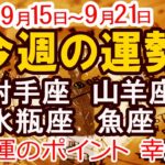 【2025年9月15日から21日】今週の運勢 射手座 山羊座 水瓶座 魚座｜恋愛 金運 幸運日 開運のポイント