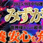 水瓶座さんへ9月中旬🐉龍神様の御告げ【休んでいいんだよ🍀最適化で安心感を育む】✡️キャラ別鑑定付き✡️　