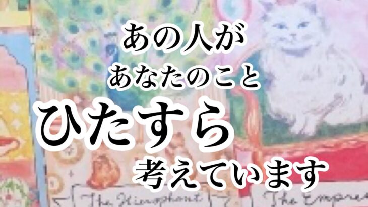 ✨✨予祝あり✨✨あの人があなたについてひたすら考えています【恋愛💖タロット】