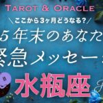 【水瓶座♒️】開眼👁️です🎉年末どうなってる？未来のあなたがどうしても伝えたいこと💌タロット＆オラクル／Tarot&Oracle card reading／Aquarius