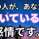 【正直な想い】今あの人があなたに向けている感情。恋愛タロット占い｜ルノルマン｜オラクルカード細密リーディング