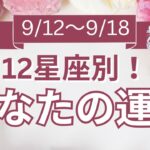 【今週の運勢は？】9/12～9/18 12星座運勢リアルタイム鑑定🌈🐇✨【開運占い師と振り返る1週間】最近あった良いこと、嬉しいこと教えて～！