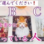 【イニシャル】あなたを密かに想っている人❣️タロット、タロット占い、恋愛
