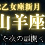 山羊座♑️乙女座新月【選び直し‼️】