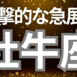 牡牛座さんへ、これからくる衝撃的な急展開！長く努力してきたことが実を結ぶ！誰から見ても明るい成果を得られる時