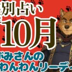 🐺狼さんが教えるマンスリーリーディング！2025年10月の「星座別占い」！🐶わんこたちに聞く🐶おおがみさんのわんわんリーディング【タロット・オラクルカードリーディング】🐶