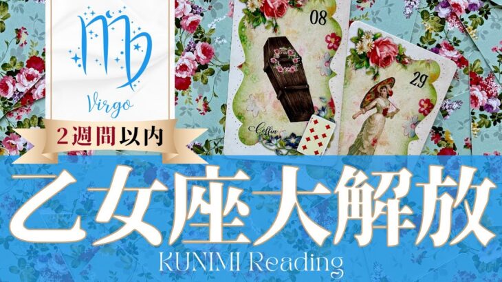 乙女座♍2週間以内に起こる大解放✨どんな？✨アドバイス🌝月星座おとめ座さんも⭐タロット⭐オラクルカード⭐ルノルマンカード