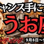 【魚座】♓️2025年9月8日の週♓️大チャンスを手にして。辛さも消えるから。自分に夢に正直に。うお座。タロット占い